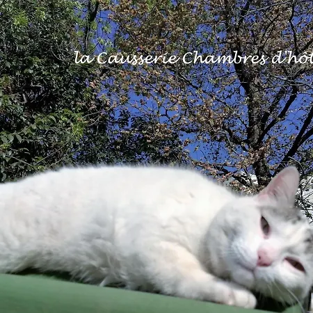 Bed & Breakfast La Causserie, D'hotes Avec Piscine Interieure, Pour Vous Seuls !