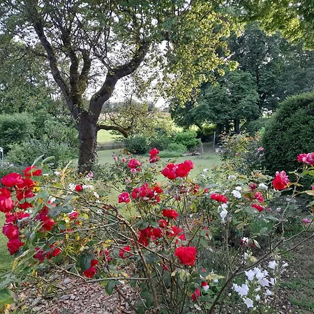 La Causserie, D'hotes Avec Piscine Interieure, Pour Vous Seuls ! Bed & Breakfast 4*